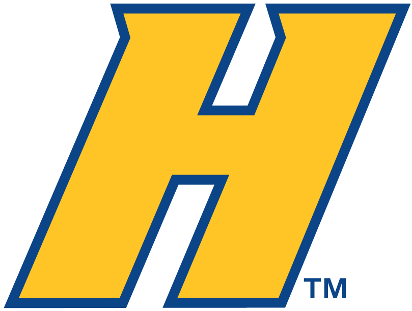 Hofstra Pride 2005-Pres Alternate Logo v2 diy DTF decal sticker